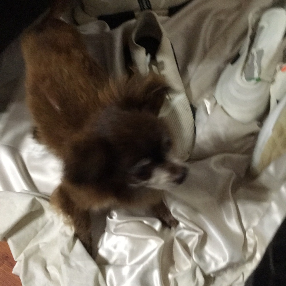 Meet your Posher, Mike